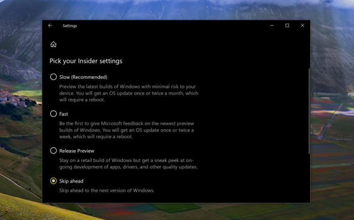 Windows 10 19H2的Skip Ahead报名选项已经开启